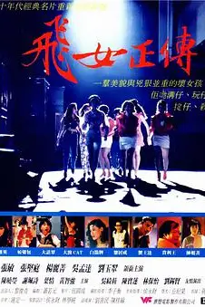 《飞女正传》封面