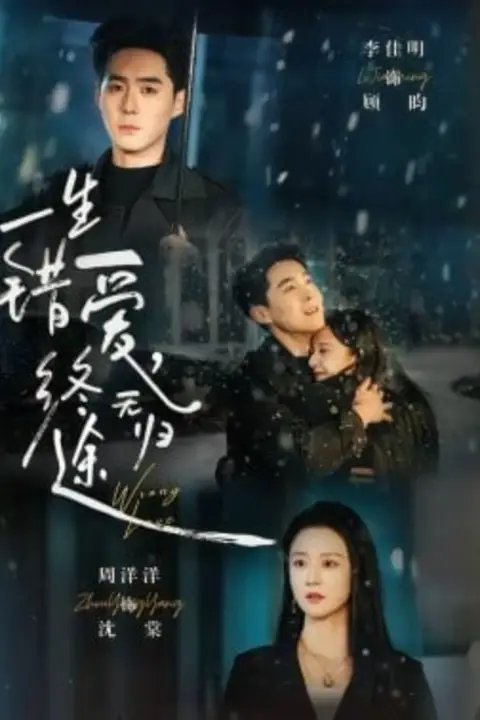 《一生错爱，终无归途》封面