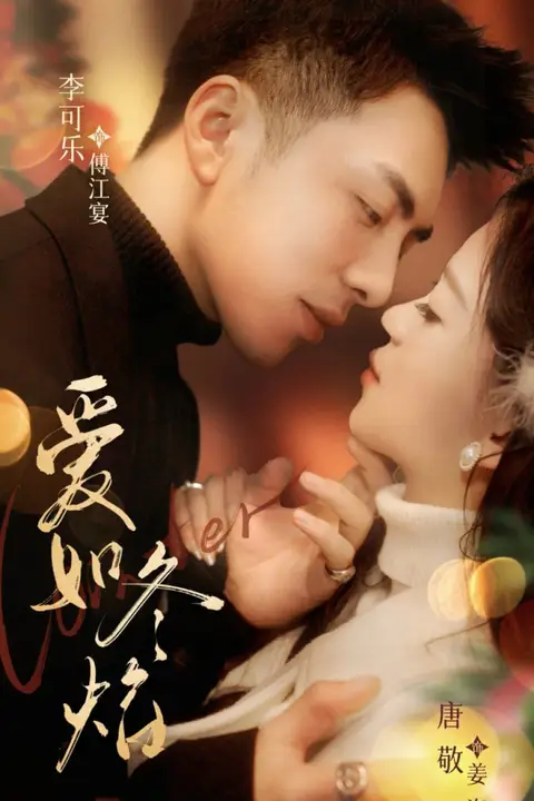 《爱如冬焰(爱如冬日焰火)》封面
