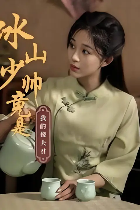 《冰山少帅竟是我的傻夫君》封面