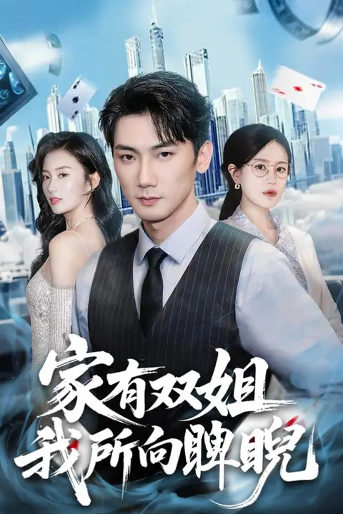 《家有双姐,我所向睥睨》封面