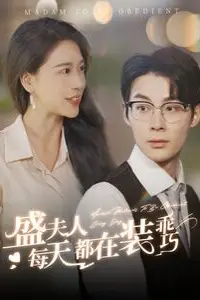 《盛夫人每天都在装乖巧》封面