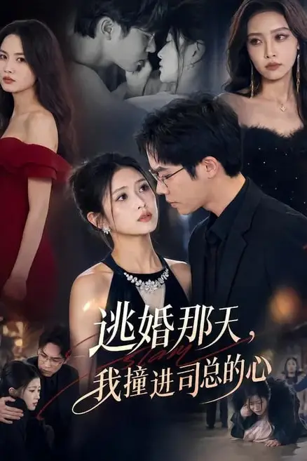 《逃婚那天,我撞进司总的心》封面
