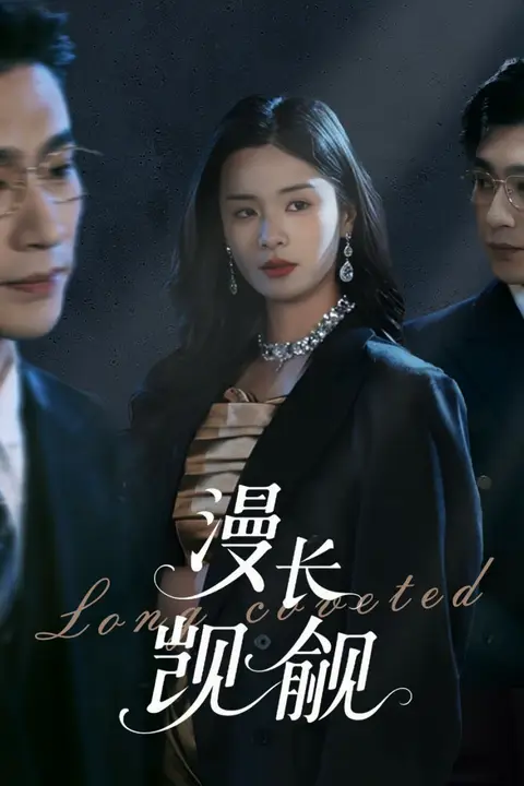 《漫长觊觎》封面