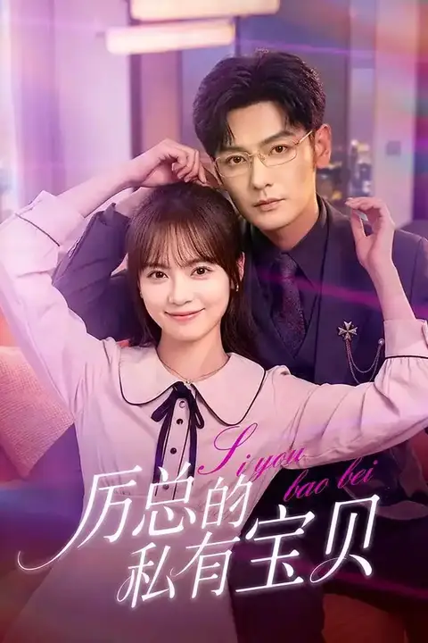 《厉总的私有宝贝》封面