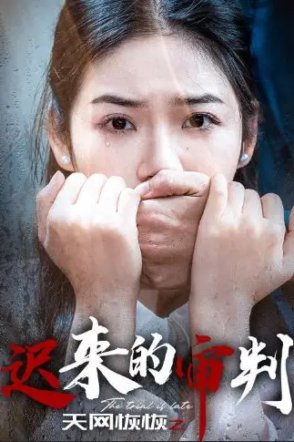 《天网恢恢之迟来的审判》封面