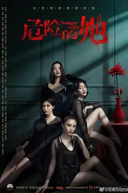 《危险的她》封面