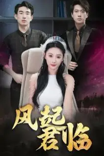 《风起君临》封面