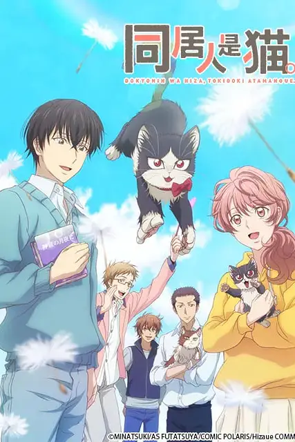 《同居人是猫 同居人》封面