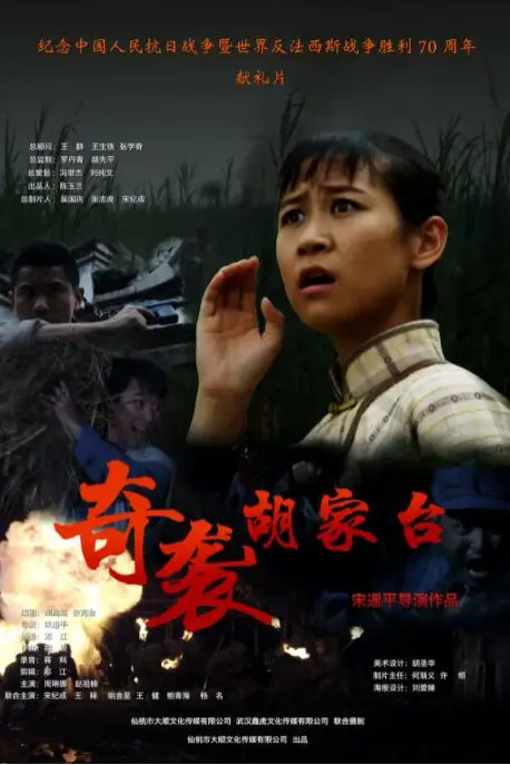 《奇袭胡家台》封面