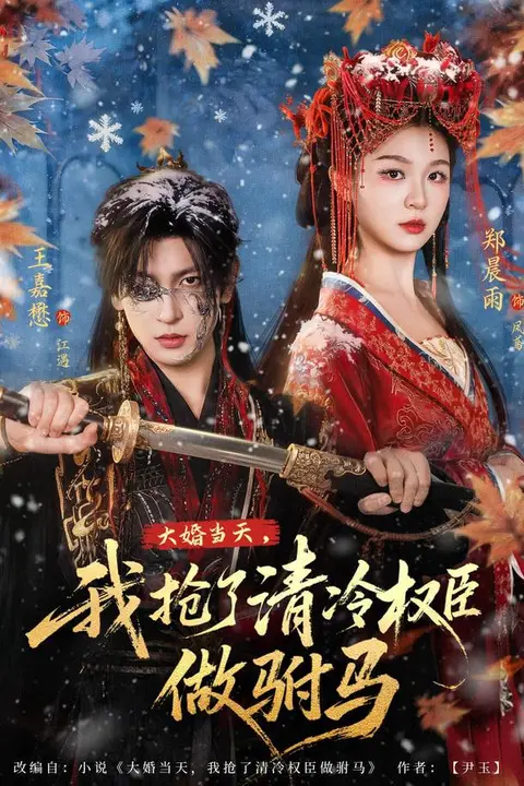 《大婚当天，我抢了清冷权臣做驸马》封面
