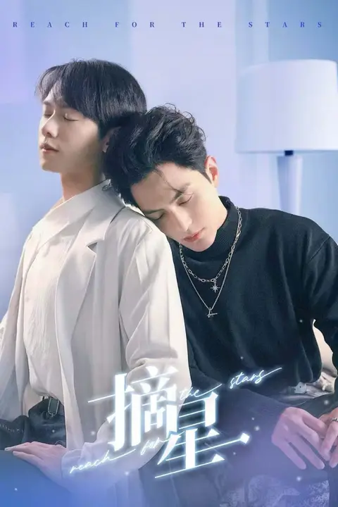 《摘星》封面