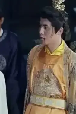 《少年天子》封面
