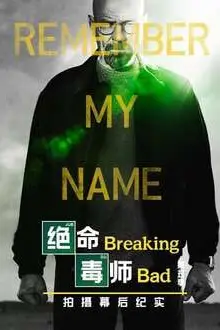 《绝命毒师 第六季》封面