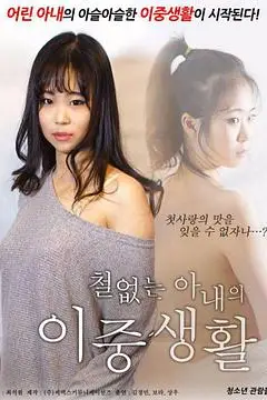 《不懂事的妻子的双重生活》封面