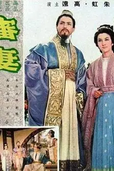 《审妻》封面