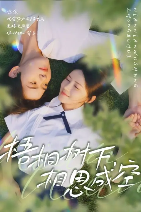 《梧桐树下,相思成空》封面