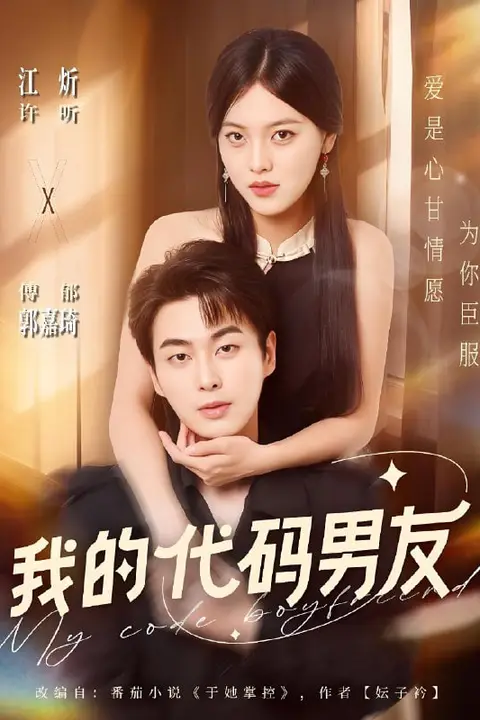 《我的代码男友》封面