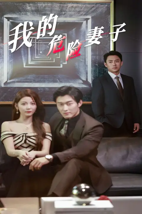 《我的危险妻子》封面