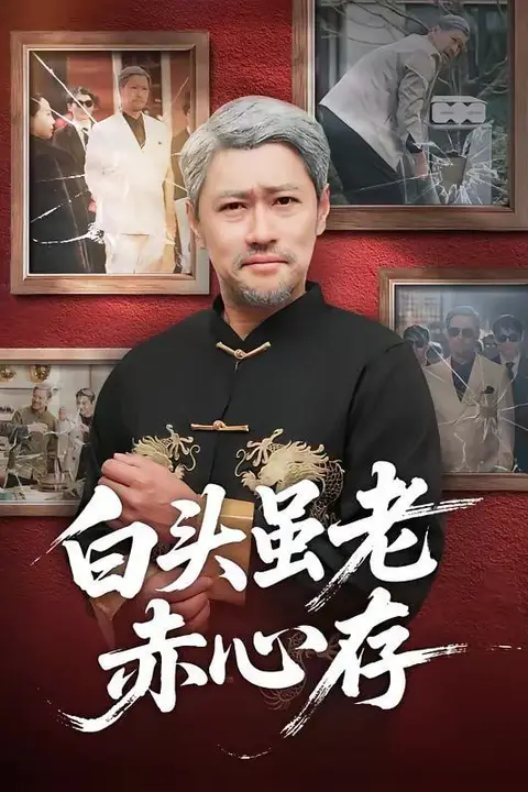 《白头虽老赤心存》封面