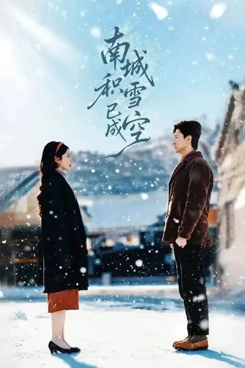 《南城积雪已成空》封面