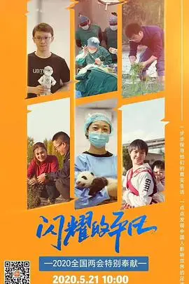 《闪耀的平凡》封面