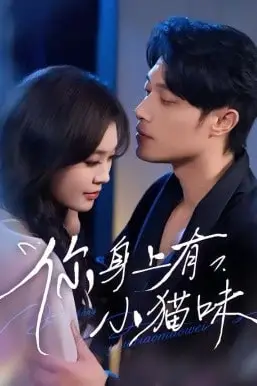 《你身上有小猫味》封面