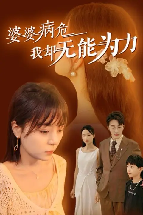 《婆婆病危我却无能为力》封面