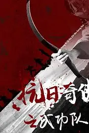 《抗日奇侠之武功队》封面
