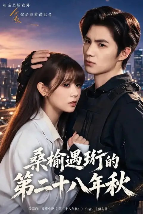 《桑榆遇珩的第二十八年秋》封面