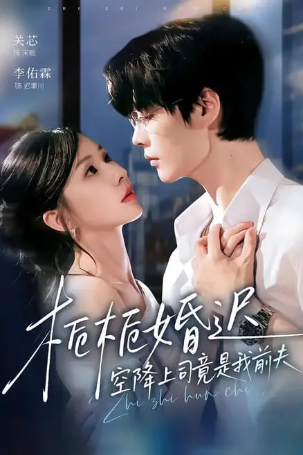 《栀栀婚迟，空降上司竟是我前夫》封面