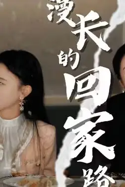 《漫长的回家路》封面