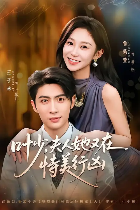 《叶少,夫人她又在恃美行凶》封面