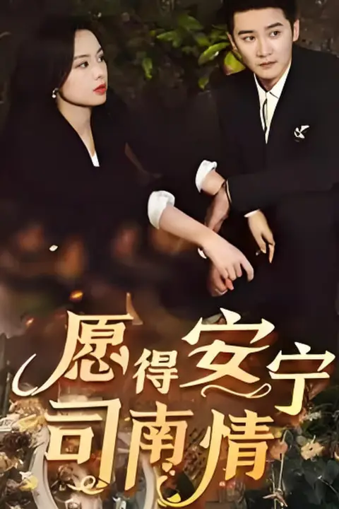 《愿得安宁司南情》封面