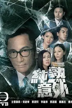《纯熟意外》封面