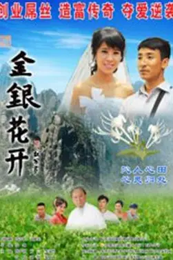 《金银花开》封面