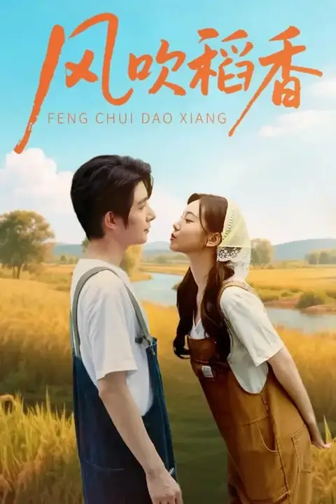《风吹稻香》封面