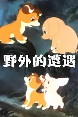 《野外的遭遇》封面