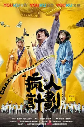 《疯人计划》封面