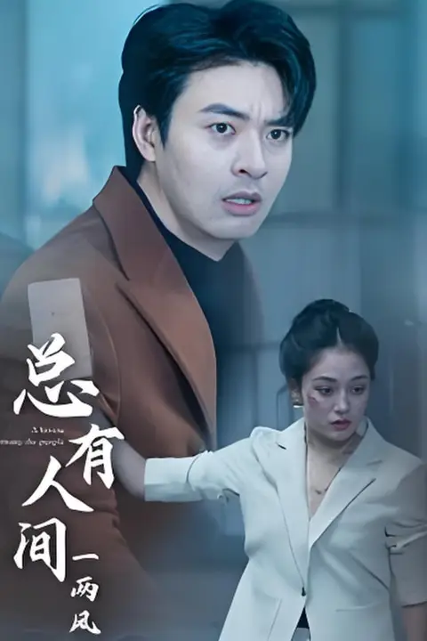 《总有人间一两风》封面