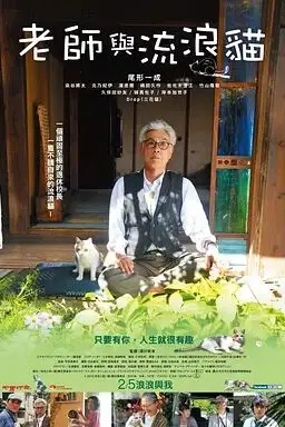 《老师与流浪猫》封面