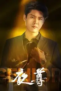 《夜尊》封面
