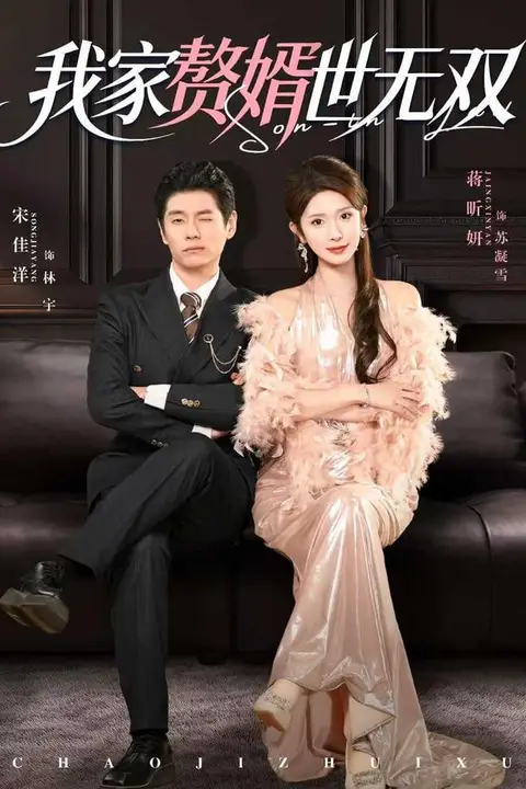 《我家赘婿世无双》封面