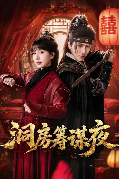 《洞房筹谋夜》封面