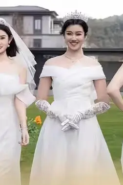 《谁是我的新娘》封面