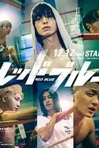 《红蓝》封面