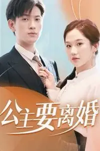 《公主要离婚》封面