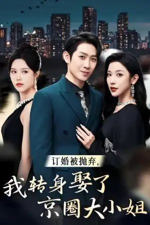 《订婚被抛弃，我转身取了京圈大小姐》封面