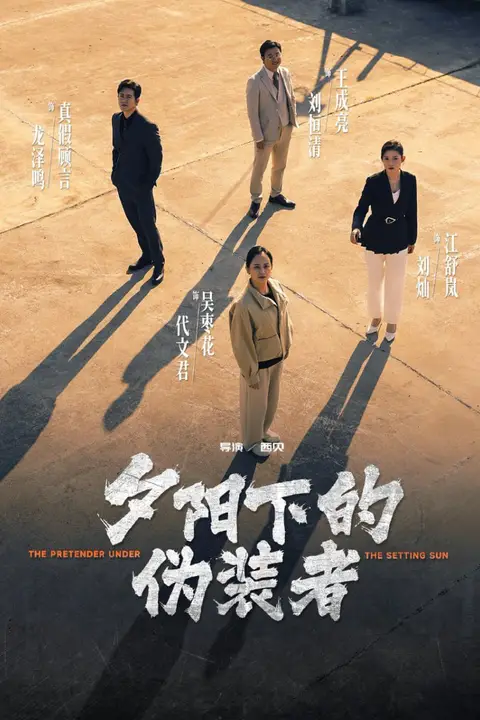 《夕阳下的伪装者》封面