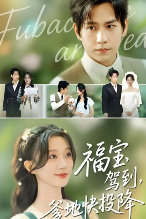 《福宝驾到，爹地快投降》封面